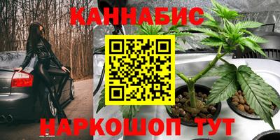 спайс Будённовск