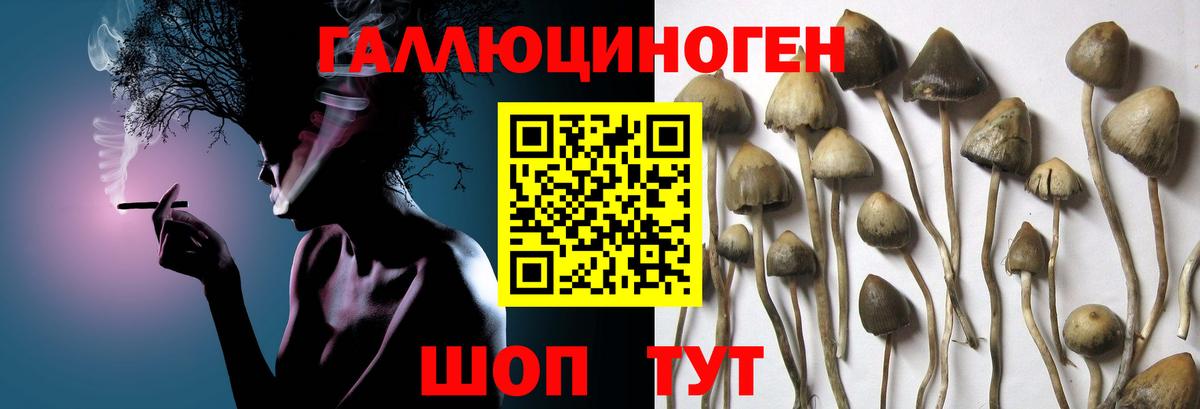 Галлюциногенные грибы Magic Shrooms Кызыл